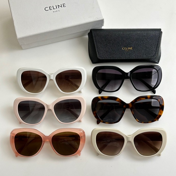 Celine Glasses smx (700)